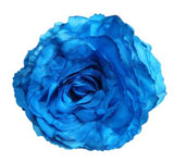 King Large Rose. Turquoise Flamenco Flower. 17cm 7.480€ #504190119TRQS
